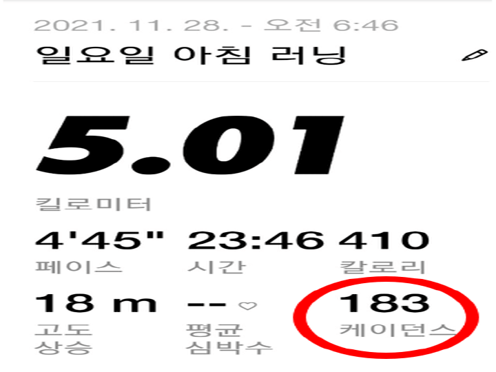 러닝 베스트 기록 5km 2개월 주말 러닝 최고 기록 (4분대 페이스 성공) 러닝 베스트 기록 5Km 2개월 주말 러닝 최고 기록 (4분대 페이스 성공)