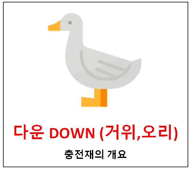 DOWN 충전재의 모든것