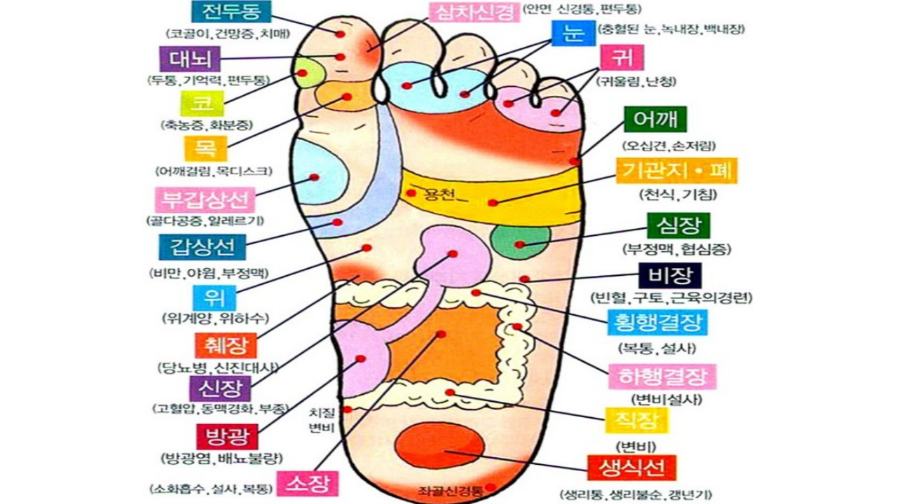  '효과 직빵이네요' 초간단 피로 회복 방법 손발 지압점