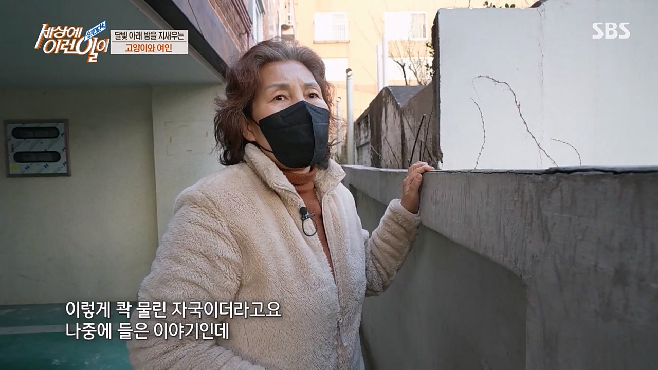 순간포착 세상에 이런일이.E1223.230329p-NEXT.mp4_20230329_192702.009.jpg