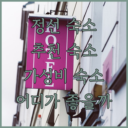 정선 숙소 추천 장수민박, 정선통나무
