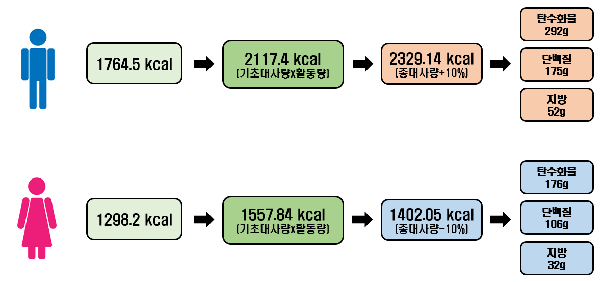 다이어트 칼로리 계산 총정리