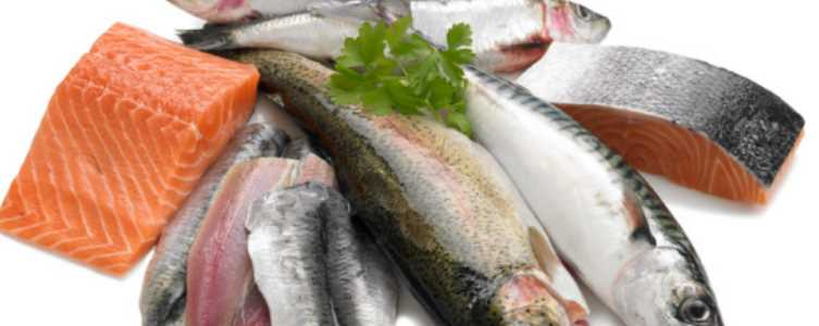 혈압 낮추는 음식 - 지방이 많은 생선