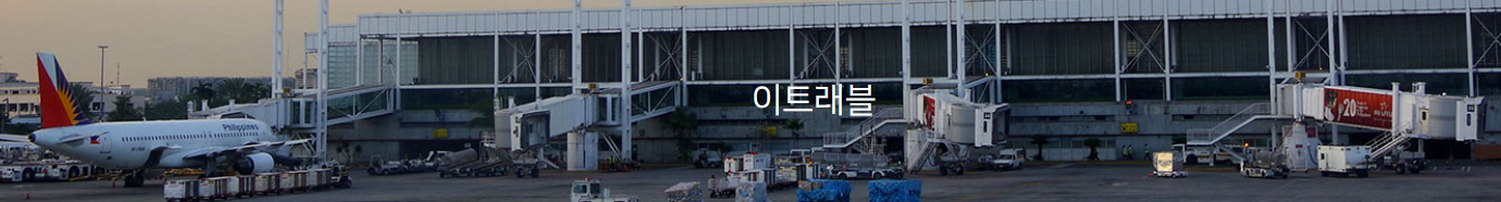  3️필리핀 여행정리3️ 이트래블 / e-Travel / 작성방법 - 주의사항 / 한글번역본 확인