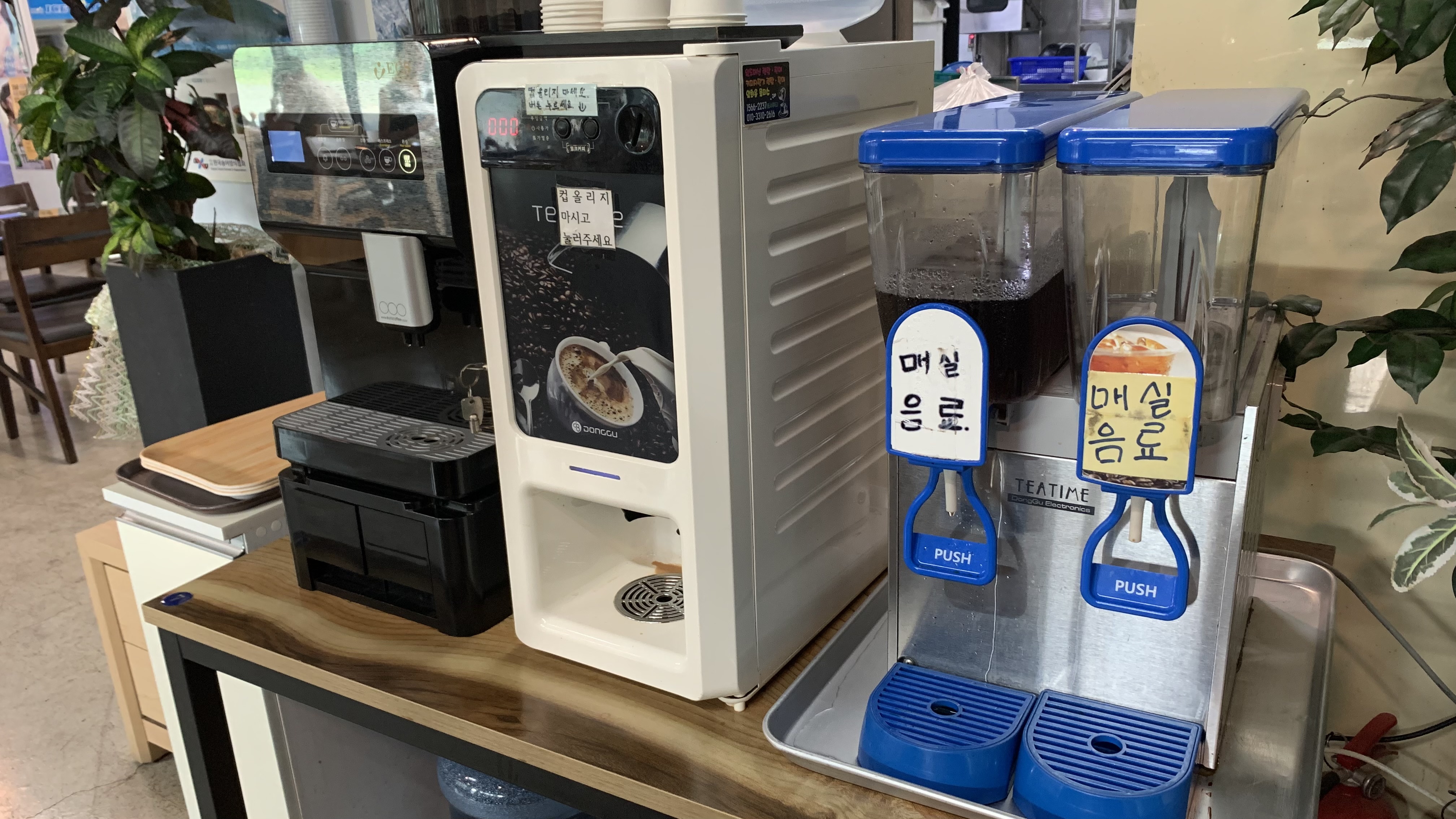 청호골송어 이미지