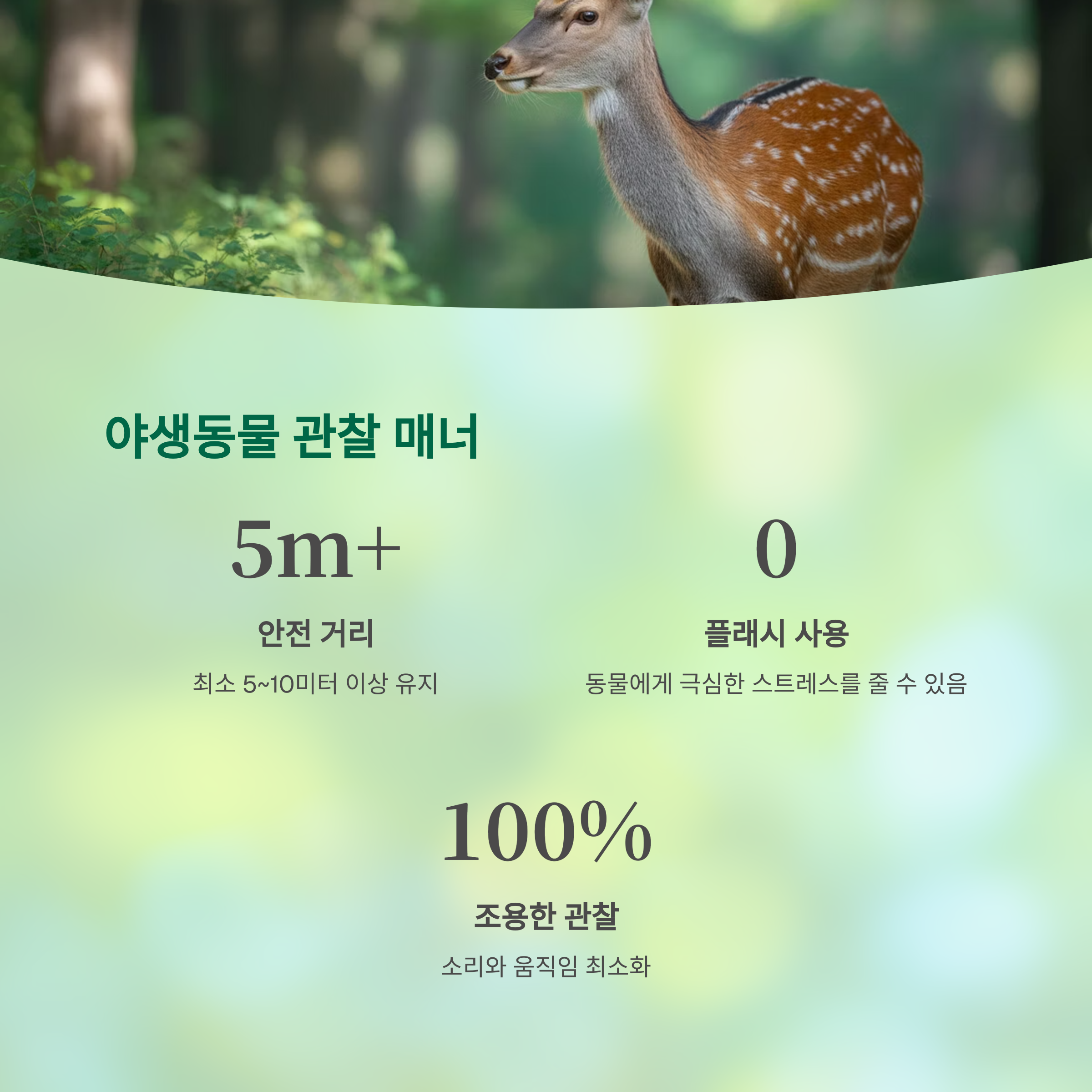 동물 관찰 시 주의사항
