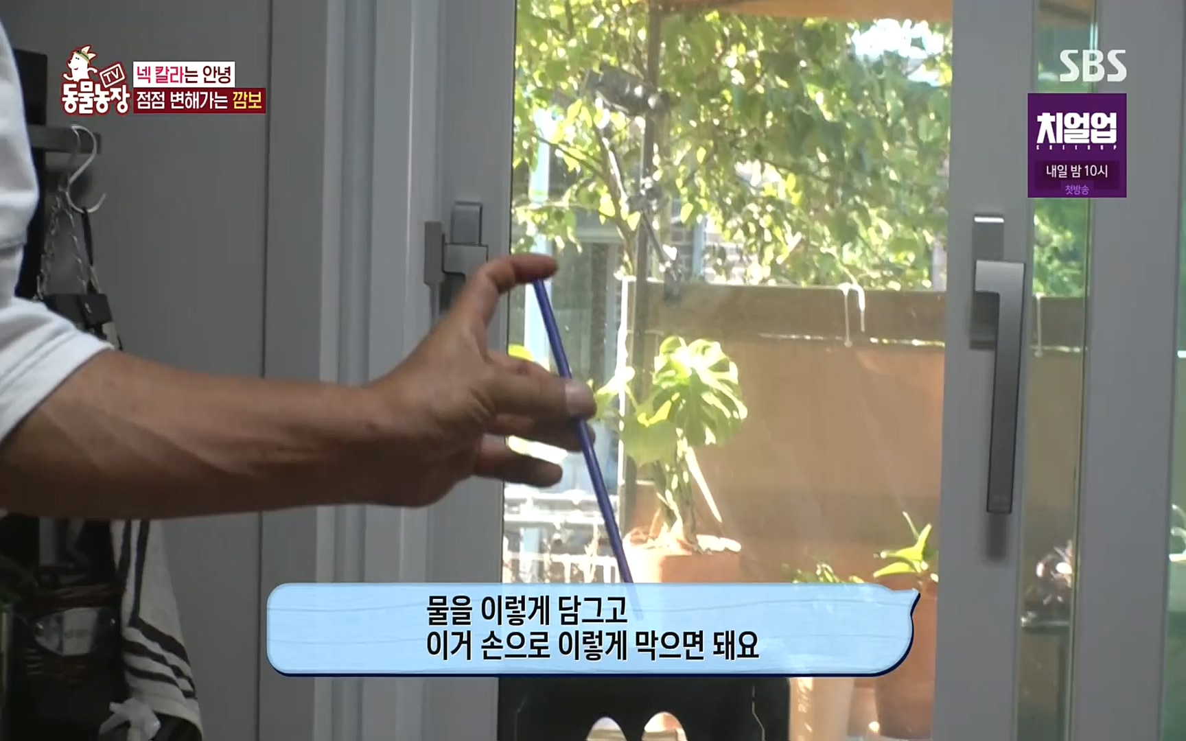 TV 동물농장.E1089.221002p.H264-F1RST.mp4_20221002_181937.855.jpg