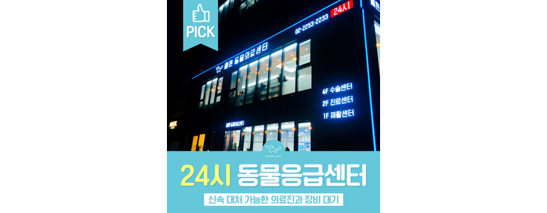 서울 중구 동물병원