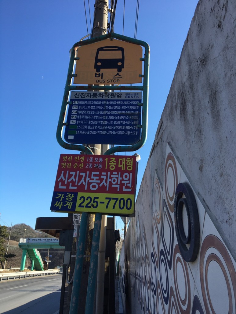 신진자동차운전학원 이미지