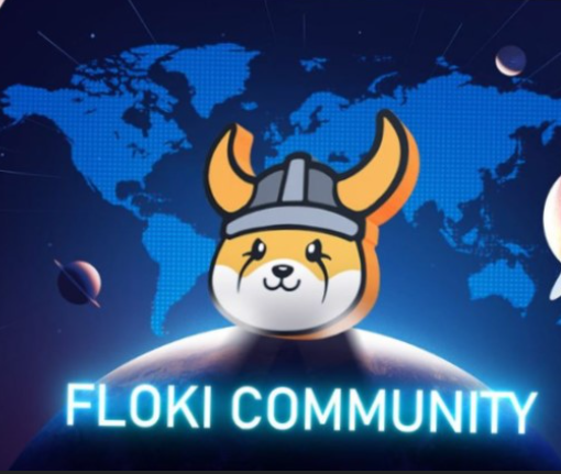 플로키(Floki) 코인 시세 전망: 2030년까지 들고간다면?