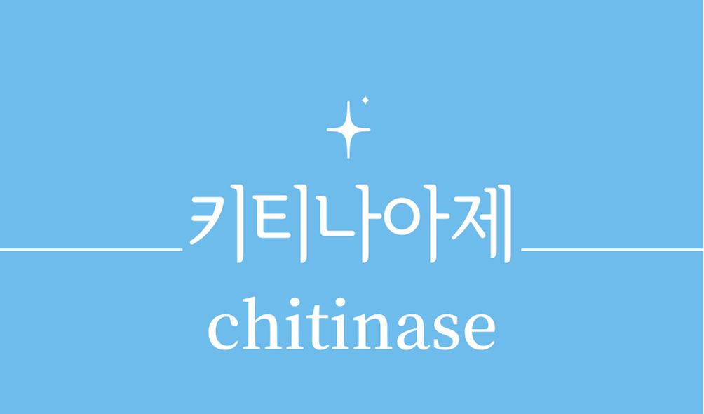 '키티나아제(chitinase)'