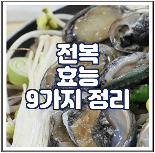  전복 효능 9가지 정리