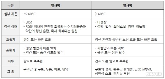 여름 대표 질환 일사병과 열사병