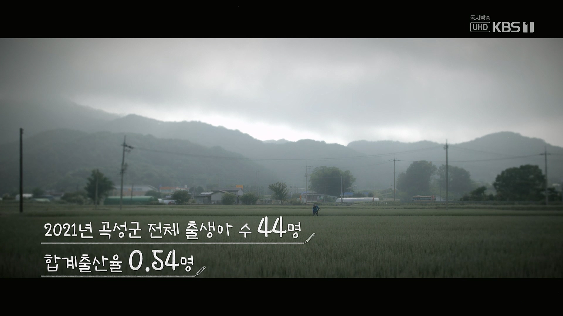 다큐 인사이트.E140.230202p.H264-F1RST.mp4_20230204_182121.630.jpg