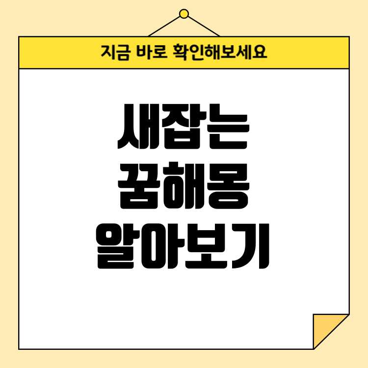 새 잡는 꿈, 날아가는 새 잡는 꿈