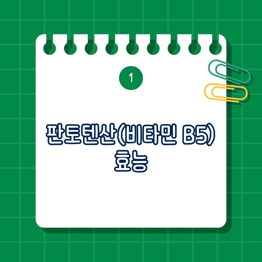 판토텐산, Pantothenic acid, 비타민B5, Vitamin B5, Vit B5 효능, 효과
