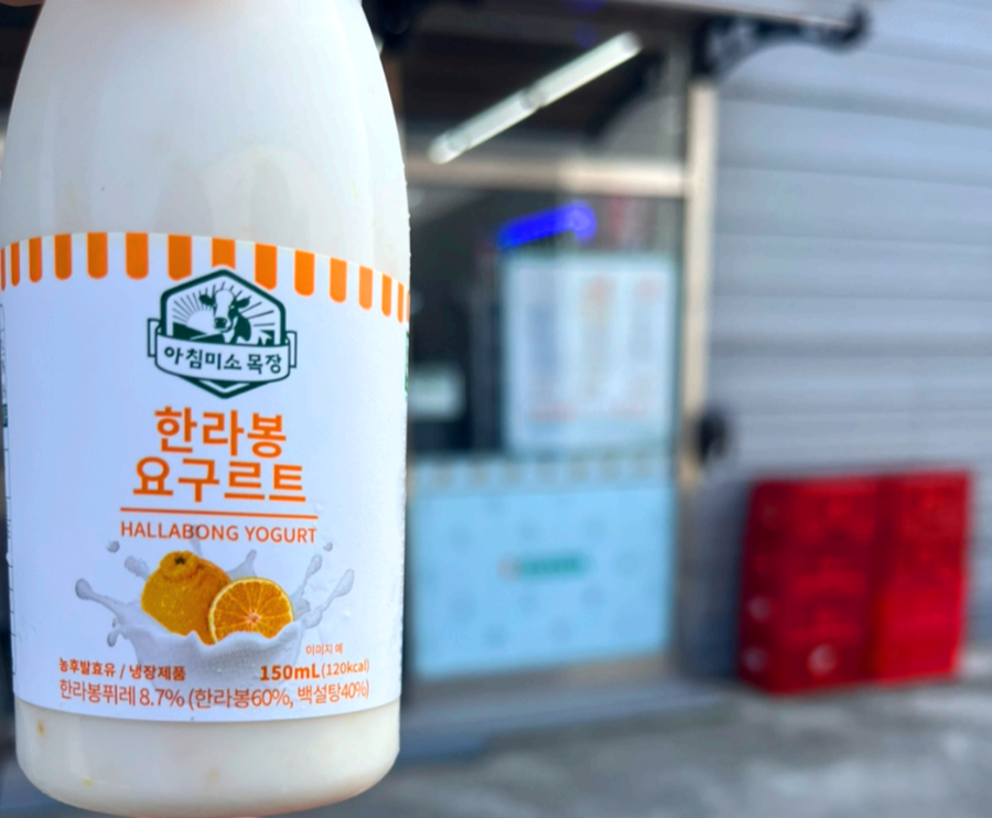 제주 여행 아르떼뮤지엄 아침미소목장 한라봉 요구르트