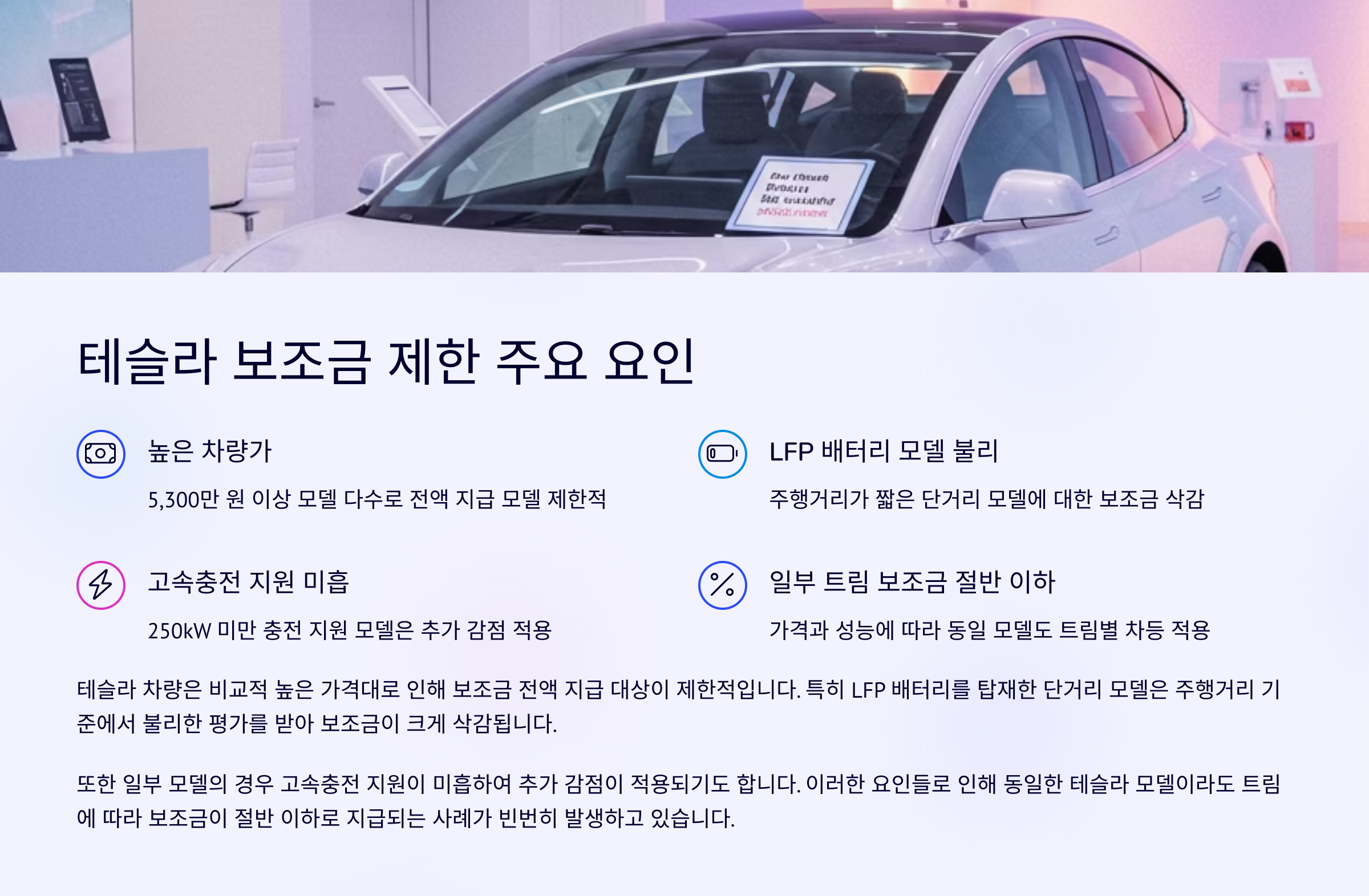 🚫 테슬라 보조금 제한 요인