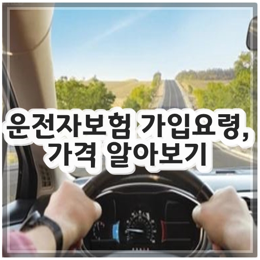 운전자보험 가입요령, 가격 알아보기