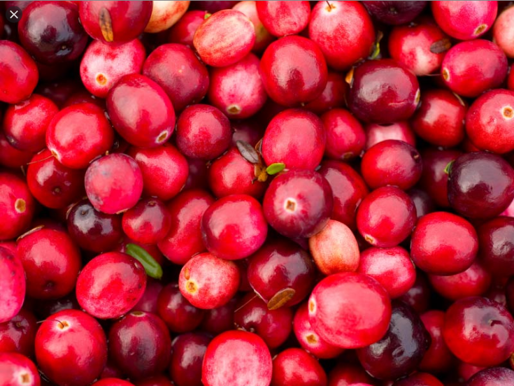  크랜베리 (CRANBERRY) 효능 및 부작용, 올바른 섭취법은?