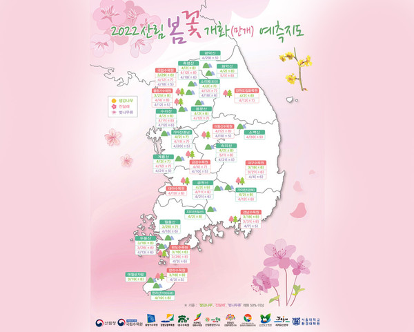  2022 벚꽃 개화시기 서울 벚꽃 명소