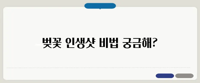 벚꽃 사진 잘 찍는 법! 인생샷 팁 & 카메라 설정