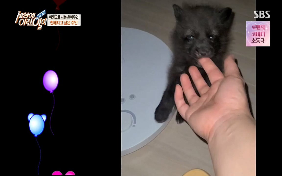 순간포착 세상에 이런일이.E1179.220511p-NEXT.mp4_20220511_175827.711.jpg