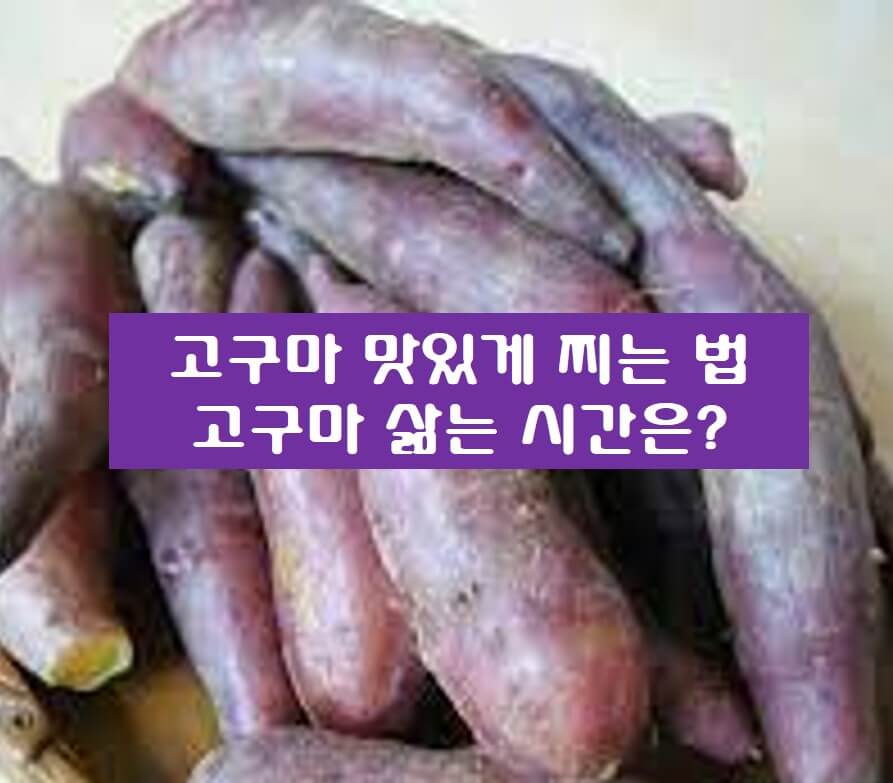 고구마 사진