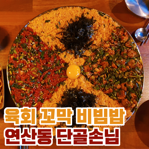  육회 꼬막 비빔밥 술집 부산 연산동 단골손님