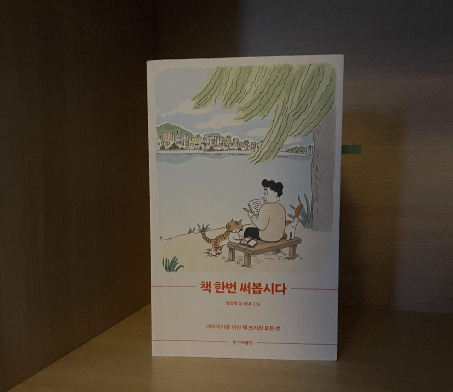  책 한번 써봅시다 - 장강명 '책 쓰는 방법, 출간 노하우'