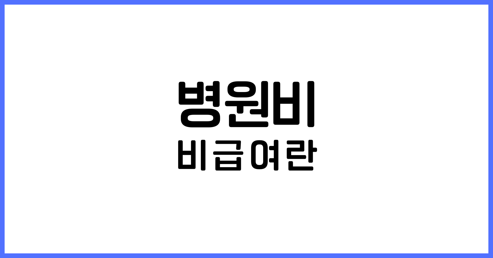 병원비비급여란