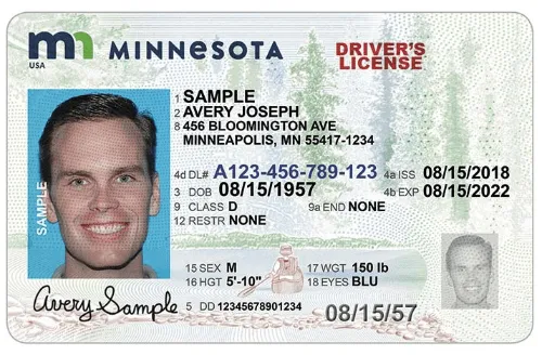 drivers license sample