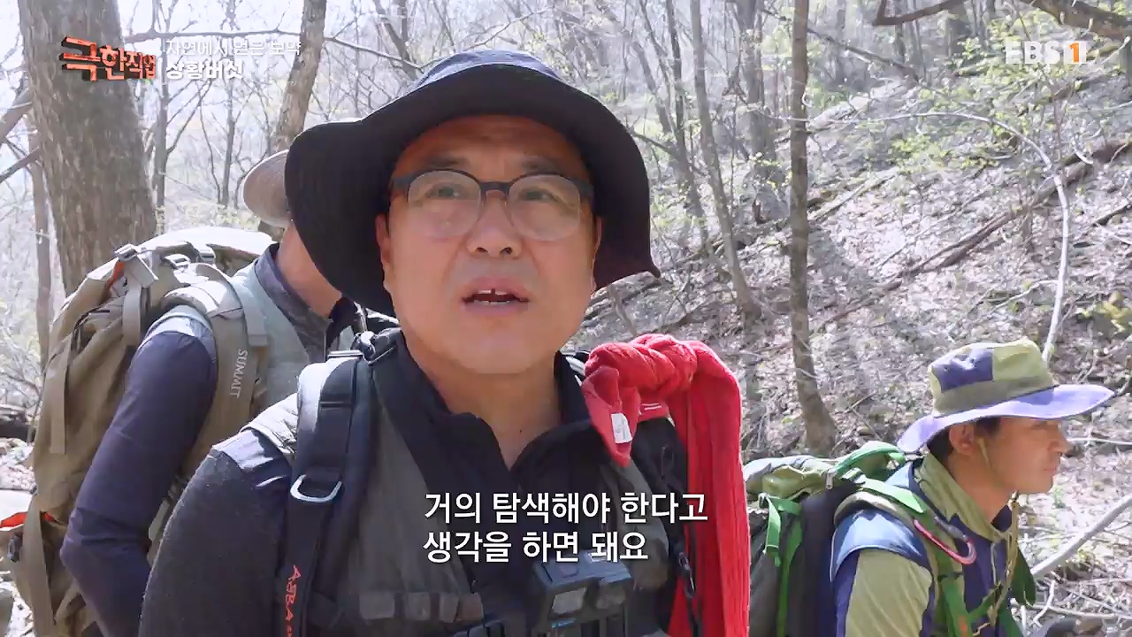 TV - 전 국민의 평생학교 EBS자연에서 얻은 보약, 상황버섯과 산나물, 쌍화차.mp4_20240615_172238.185.jpg