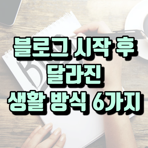  알리알리 차이나