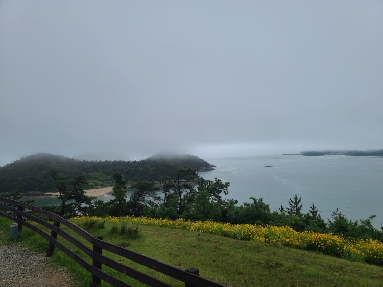 바다 산책길- 바다 안개