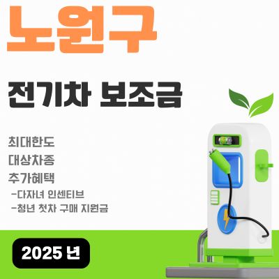 썸네일_2025년 노원구 전기차 보조금 현황 (아이오닉5, 아이오닉9, 모델3, 모델Y, EV4)