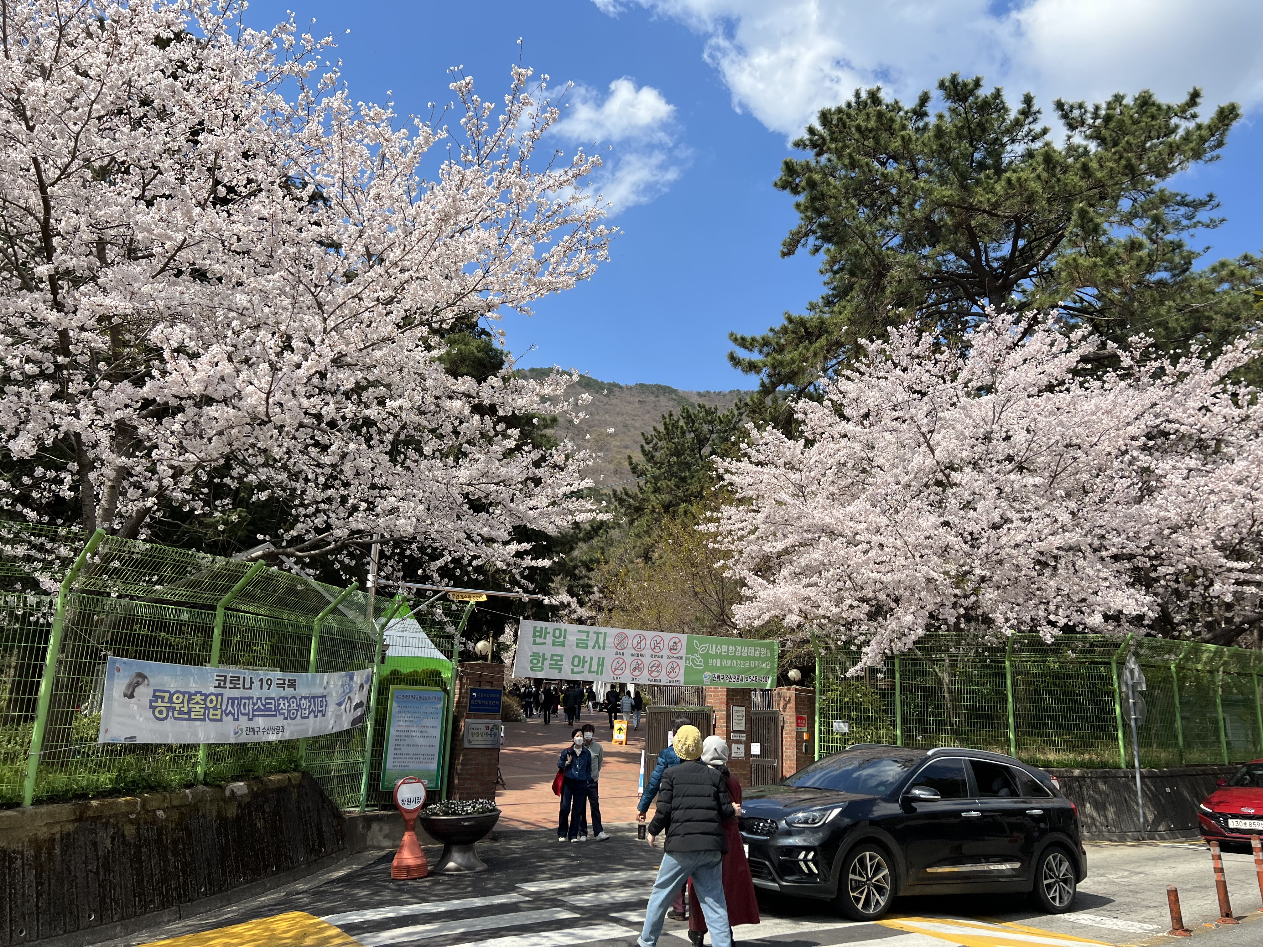 로망스다리에서 본 내수면환경생태공원 입구