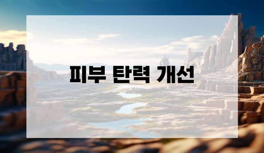 1. 피부 탄력 개선