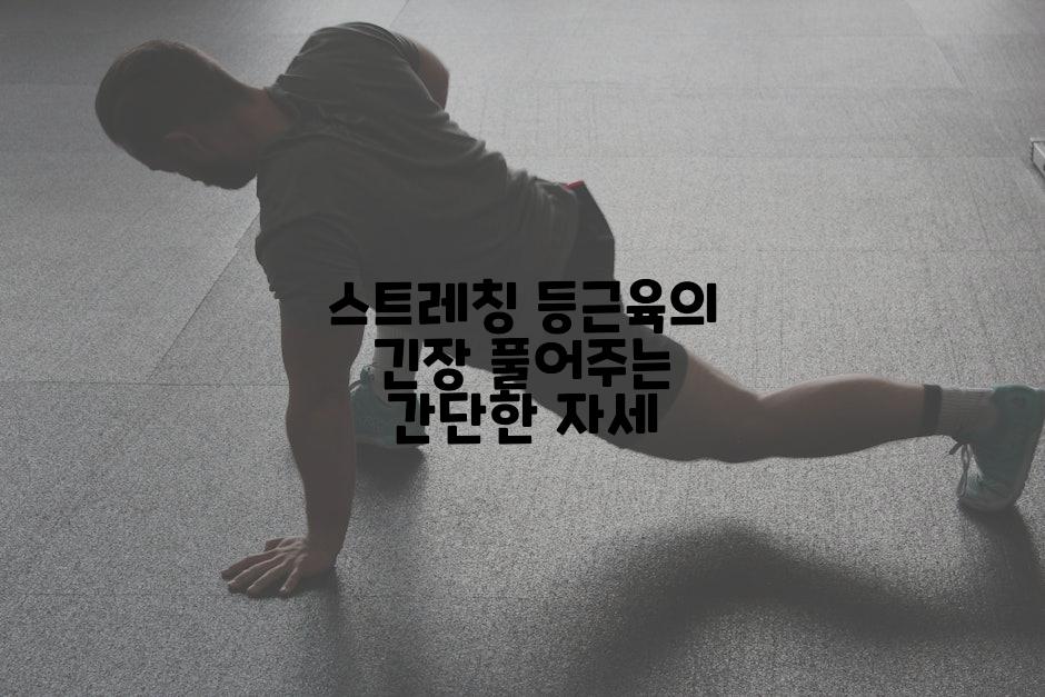 스트레칭 등근육의 긴장 풀어주는 간단한 자세