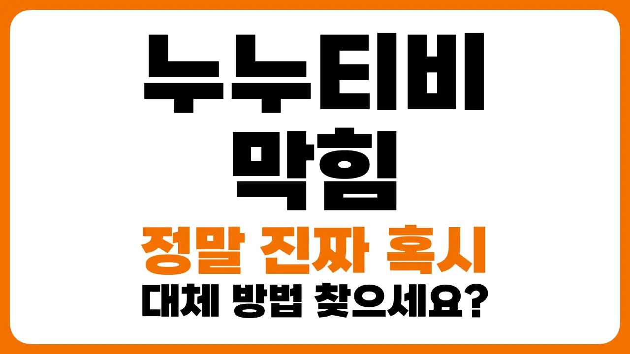 누누티비 막힘 대체 방법 무의미