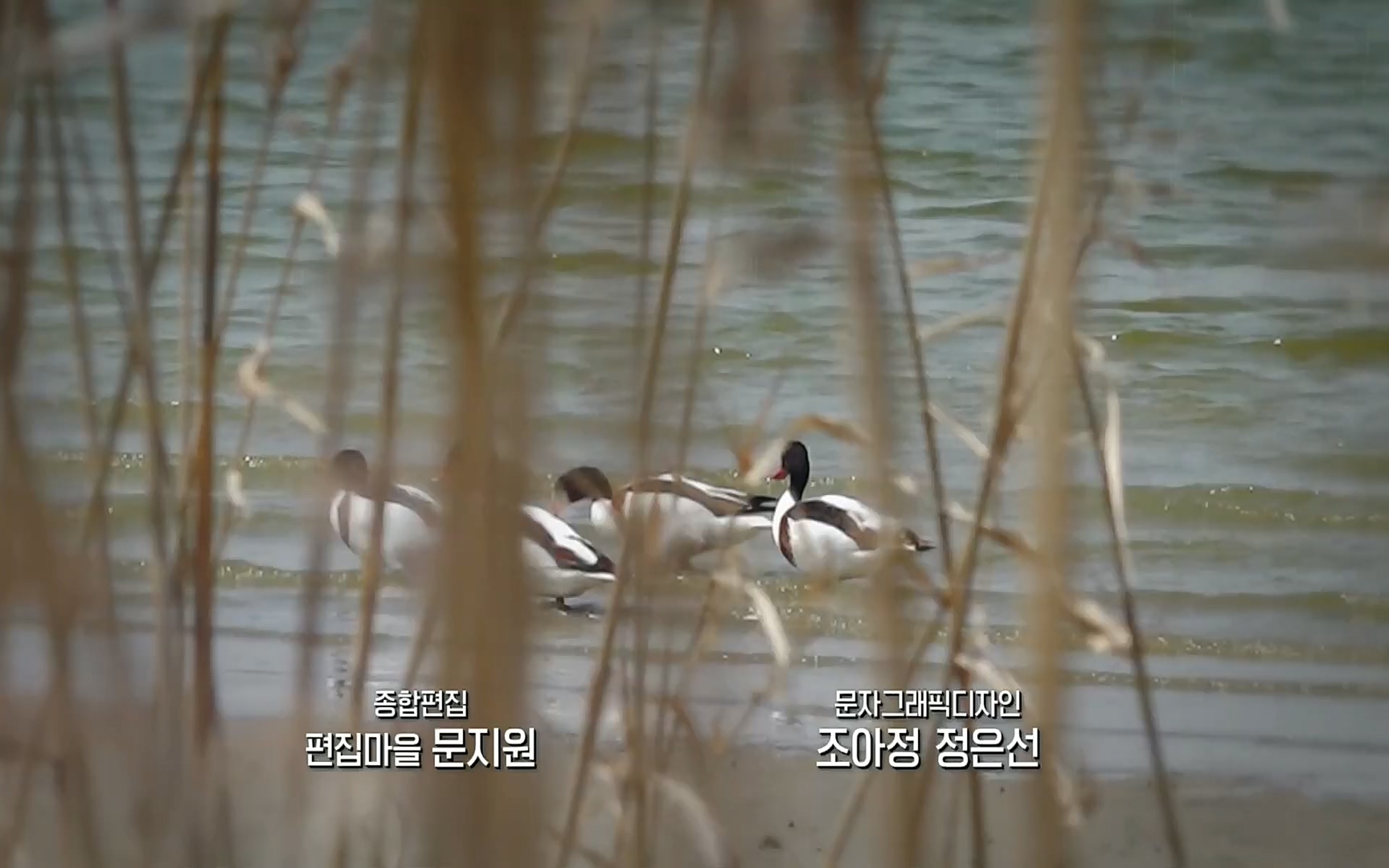 다큐 On.E151.220805p.H264-F1RST.mp4_20220806_193418.673.jpg