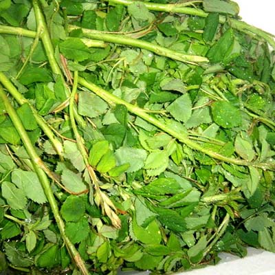 인삼-효능-먹는방법-부작용