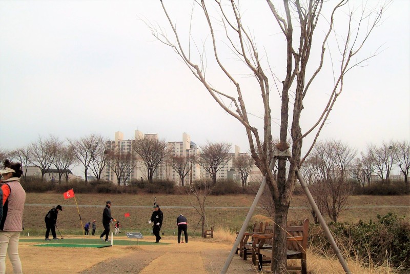 서울	구로 신도림동 안양천파크골프장 (9홀) 소개