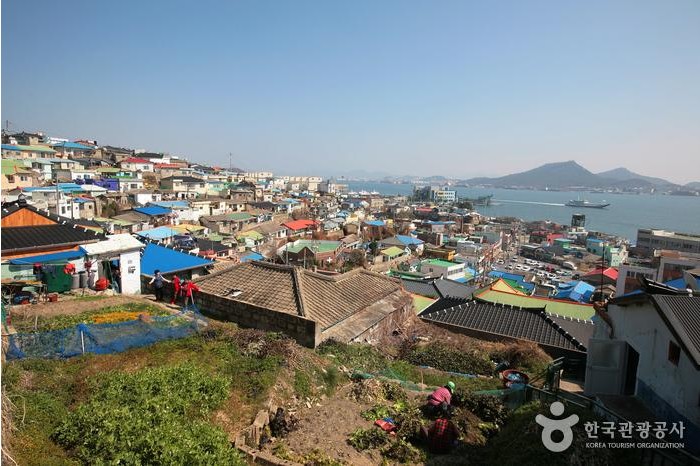  유달산 아래서 만나는 따뜻한 감성, 목포 서산동 시화골목