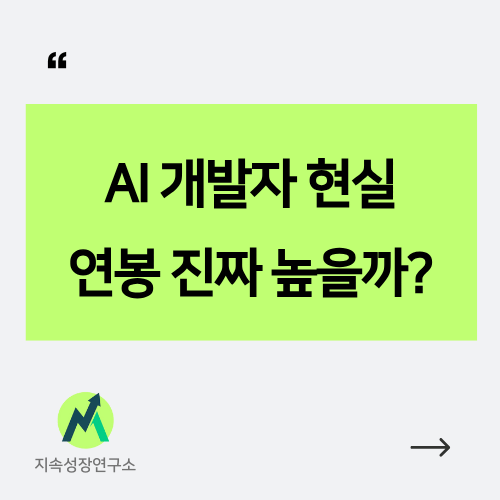 AI 개발자 현실 연봉 정보 인포그래픽