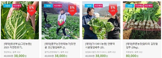 절임배추20kg