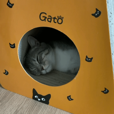  고양이 숨숨집 스크래처 정말 좋아해요!