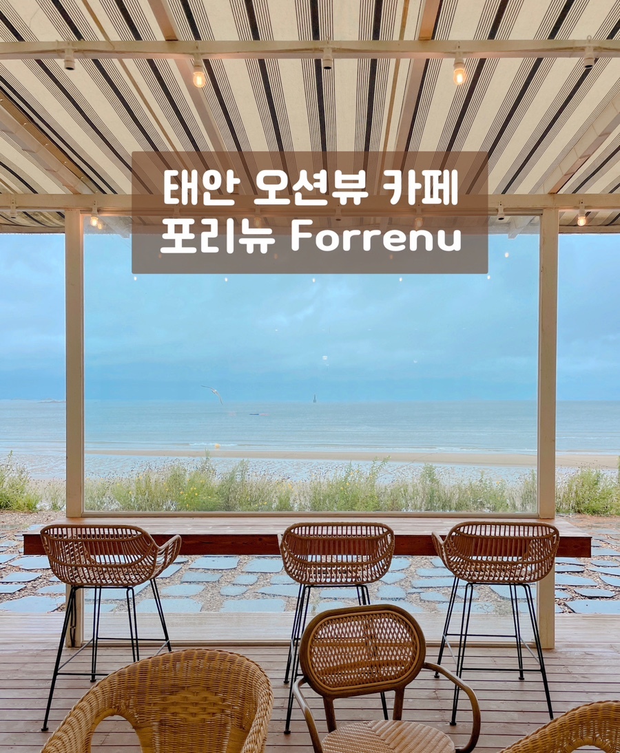 포리뉴 이미지