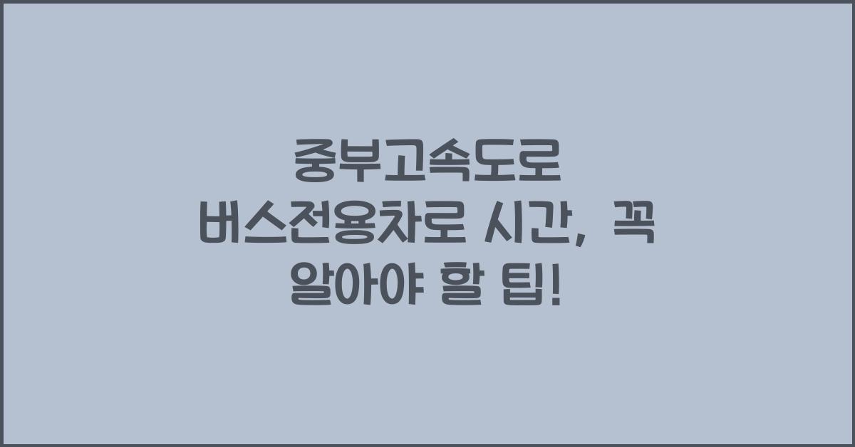 중부고속도로 버스전용차로 시간