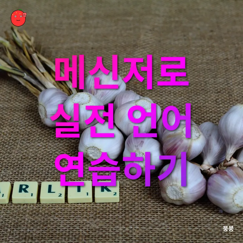 외국어 학습법_3